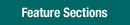 Feature Sections